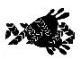 Ris12_2